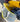 Canary patent leather trim. Canary and white plaid interior. Canvas base.